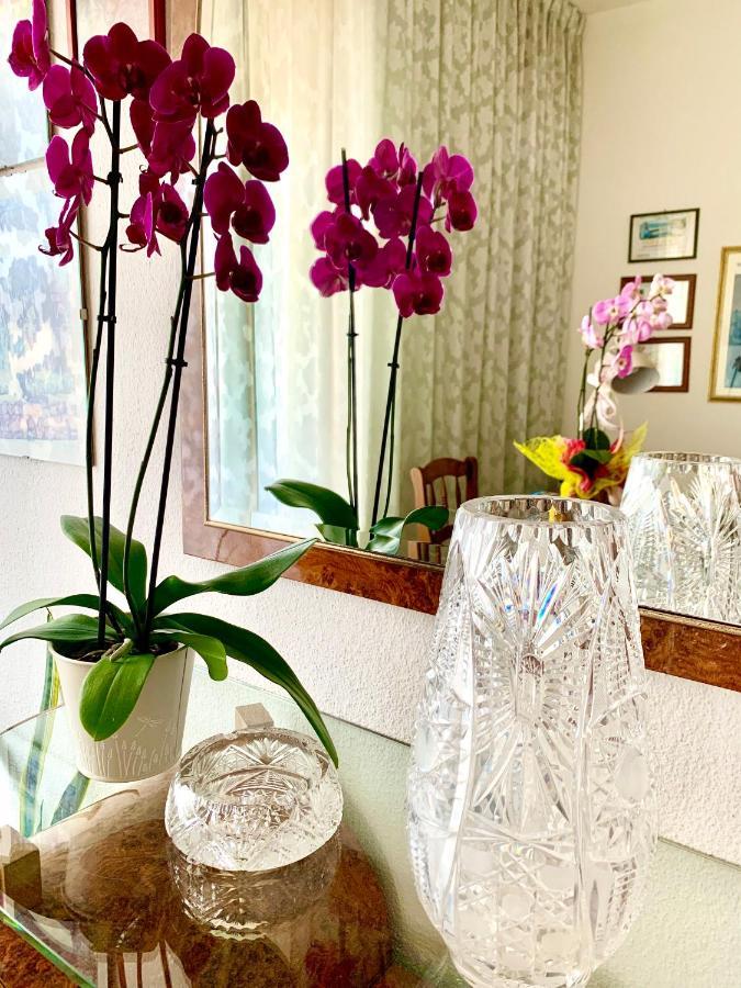 Bed & Breakfast Acquamarina Castro  Luaran gambar